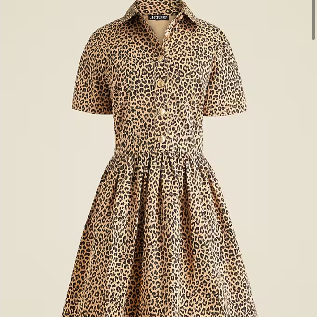 J. Crew Leopard Print Mini Dress In Tan And Black